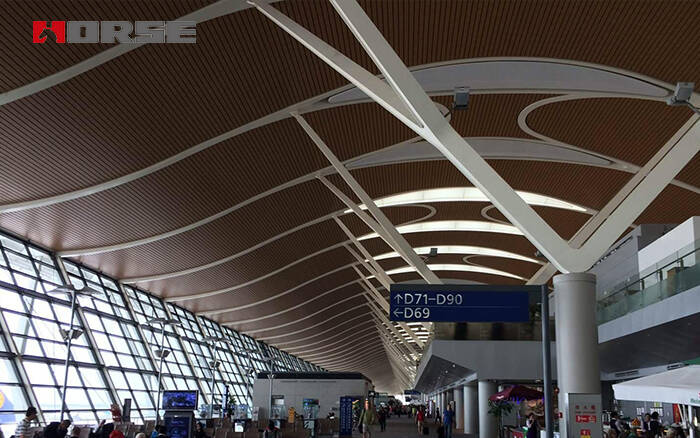 Pudong International Airport.jpg